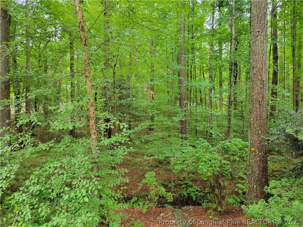 1765 Quince Loop - Photo 1