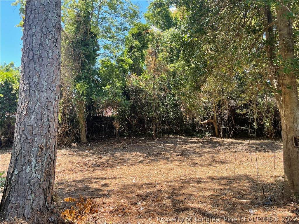 1156 Fay Hart Road - Photo 1
