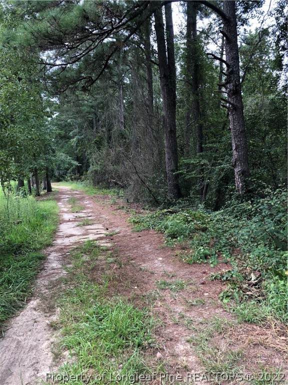 Wake Road - Photo 1