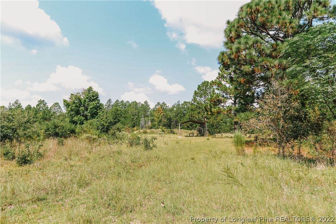 Us Hwy 15-501 Road - Photo 1