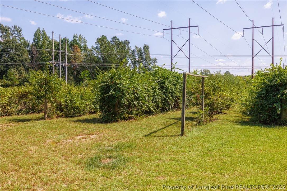 5590 Butler Nursery Road - Photo 1