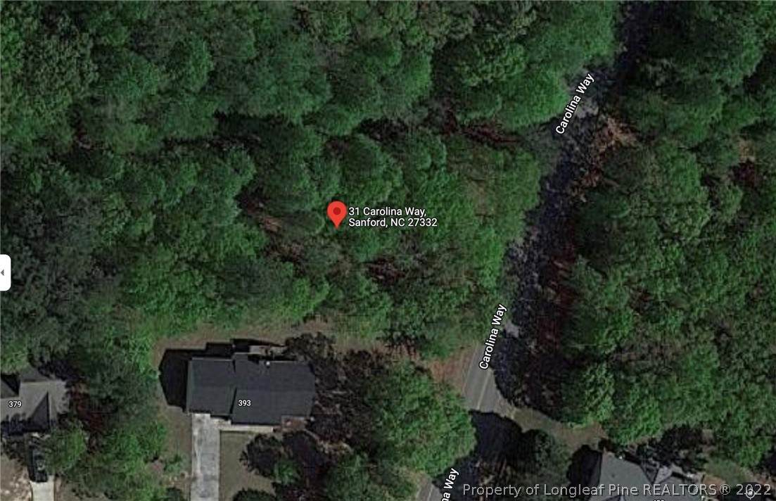 31 Carolina Way - Photo 1