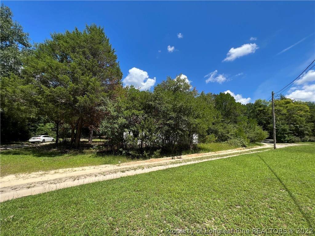 172 Mclaughlin Lane - Photo 1