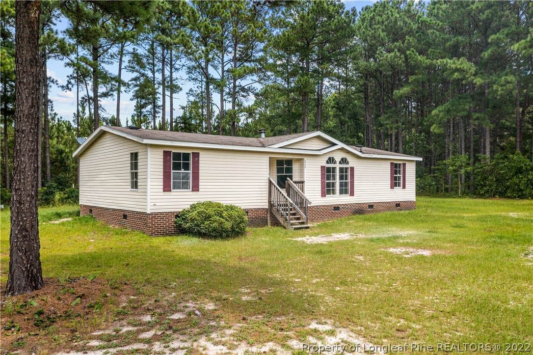212 Roping Lane Street - Photo 1