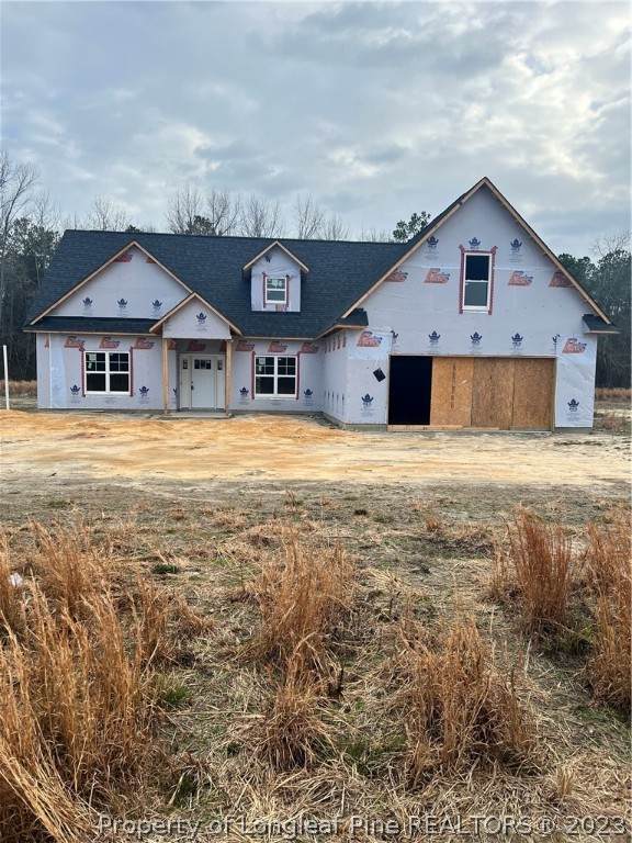 3245 Bladen Union Church (Lot 12) Road - Photo 1