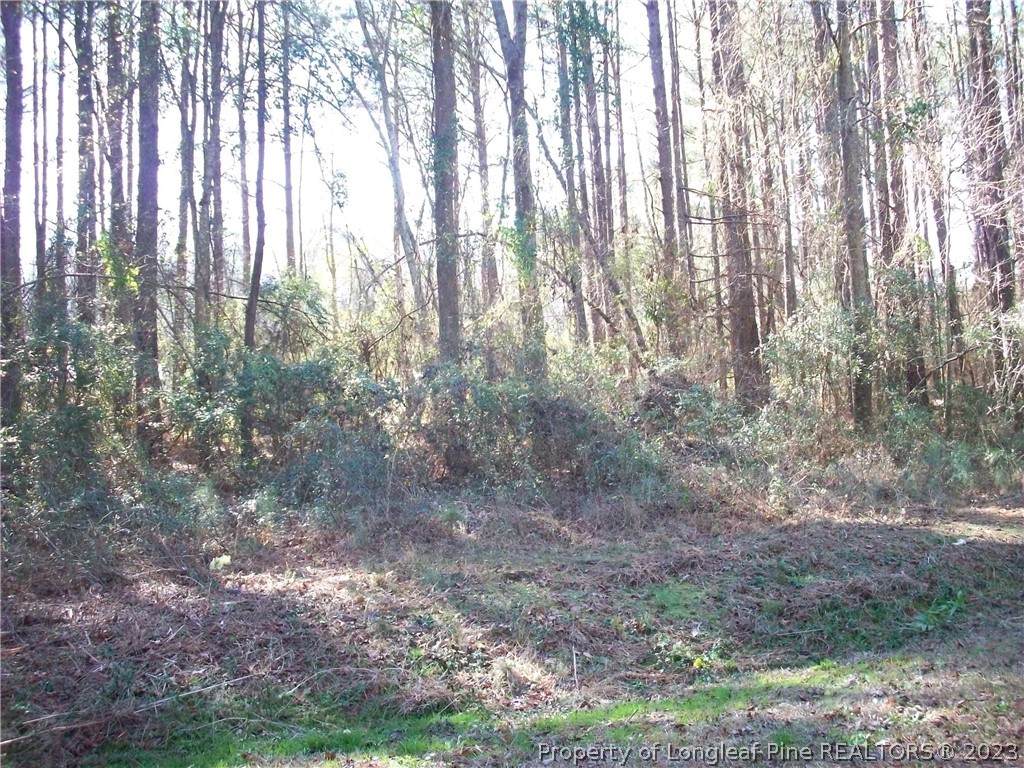 Old Whiteville Road - Photo 1