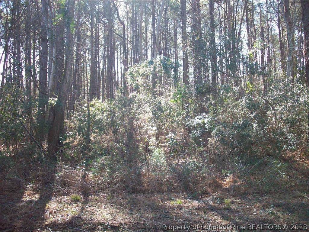 Antioch Drive - Photo 1