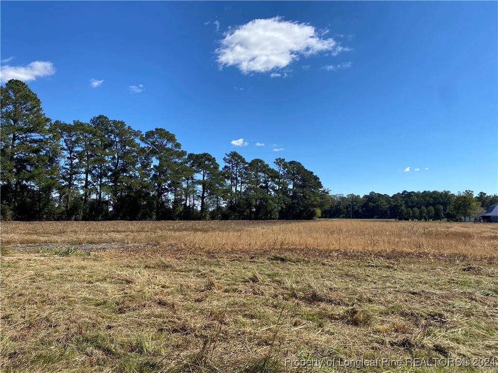 3760 Nc 41 Highway - Photo 1