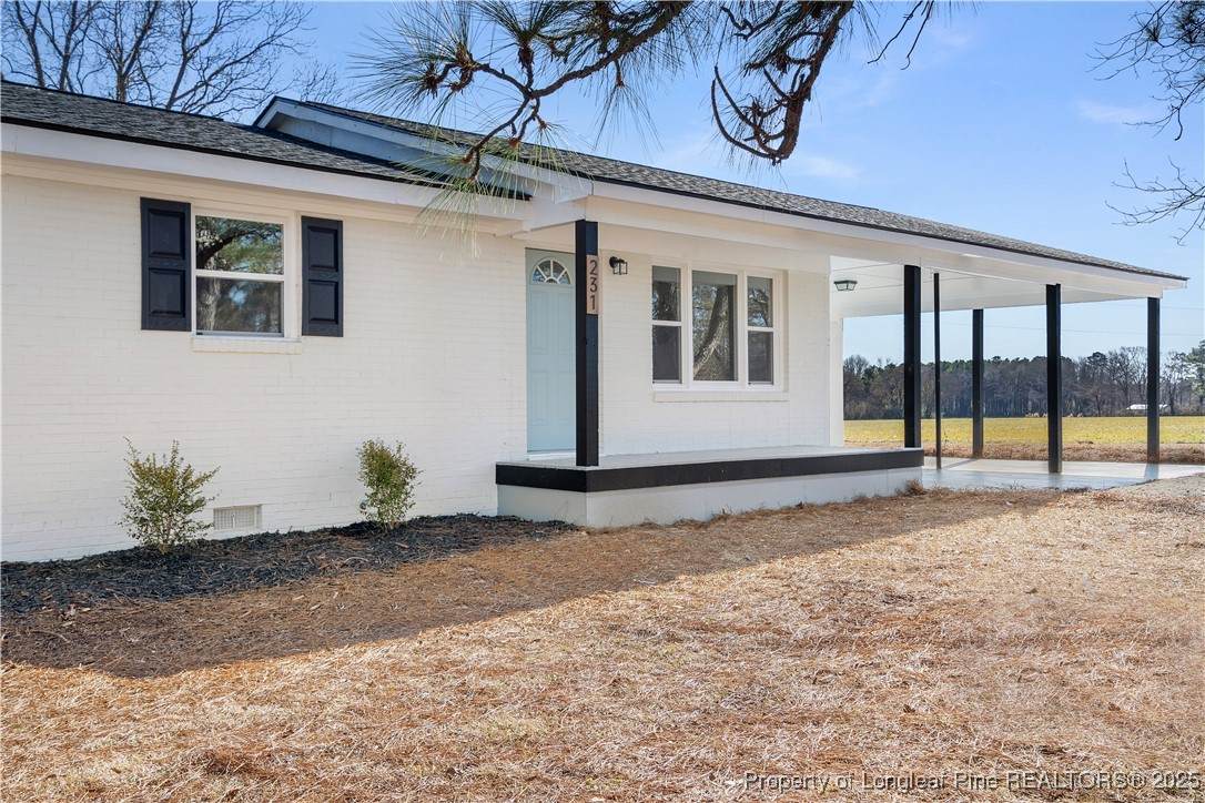 231 Faith Church Road - Photo 1