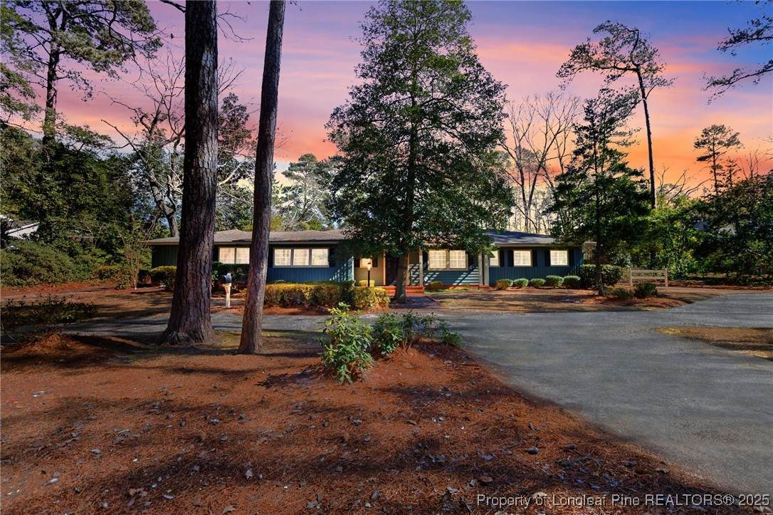 2842 Skye Drive - Photo 1