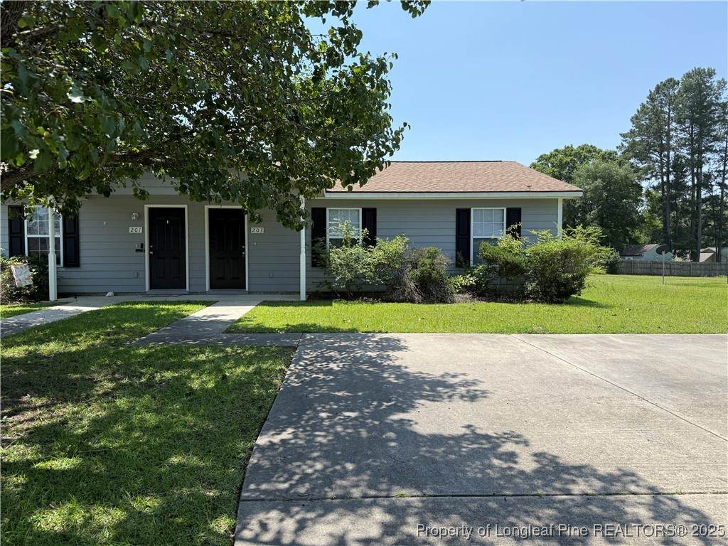 203 Centipede Lane - Photo 1