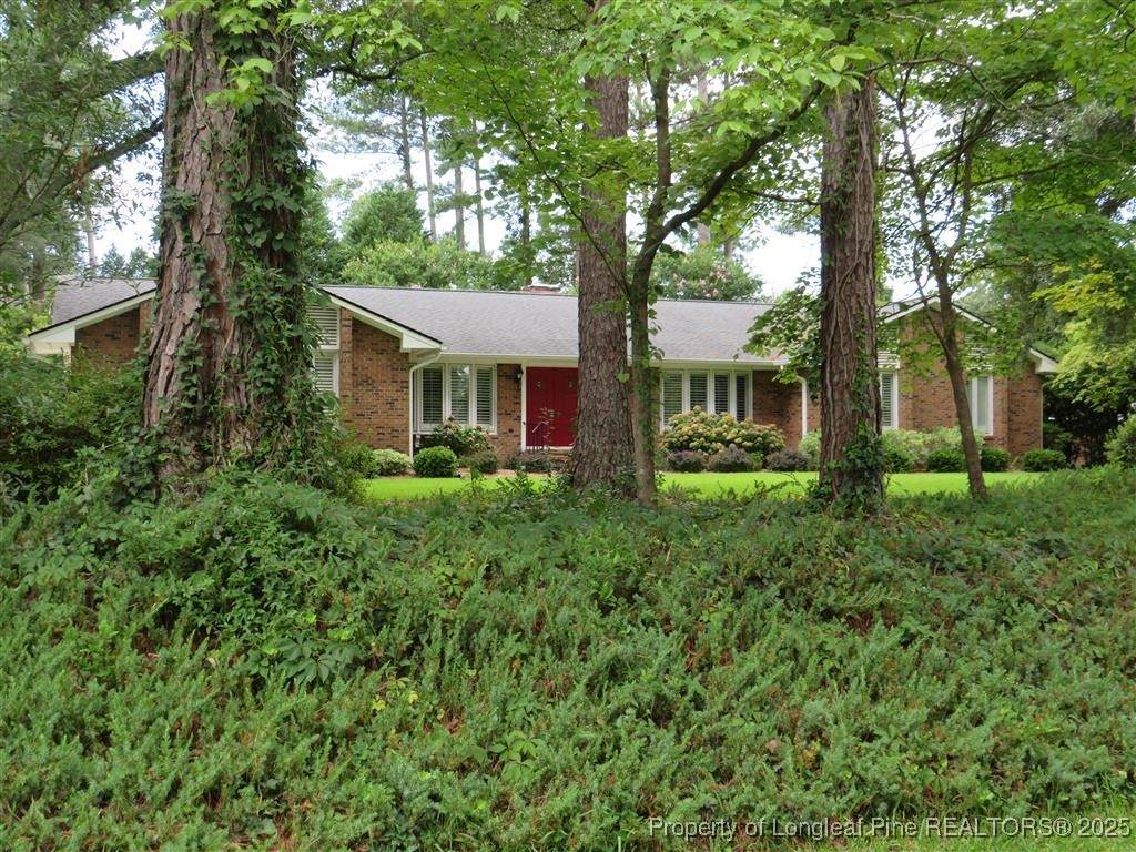 1906 Partridge Drive - Photo 1