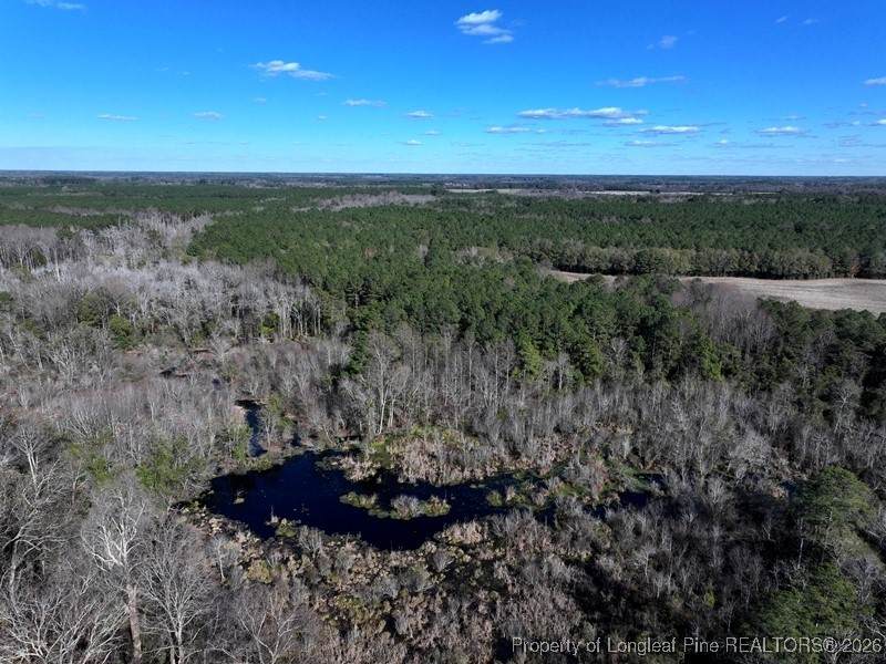 TBD Stuarts Mill Road - Photo 1