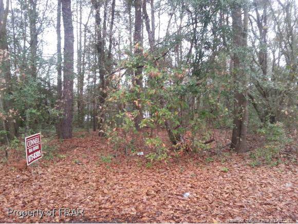 Jones Avenue - Photo 1
