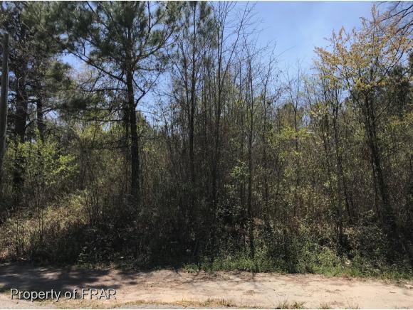 Lot 211 King Richard Court - Photo 1