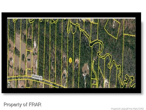 Arabia Road - Photo 1