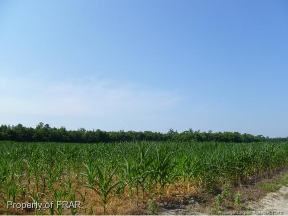 0 Shannon Road - Photo 1