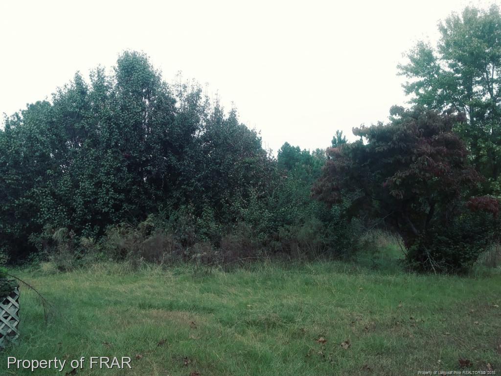 329 Tom Myers Road - Photo 1