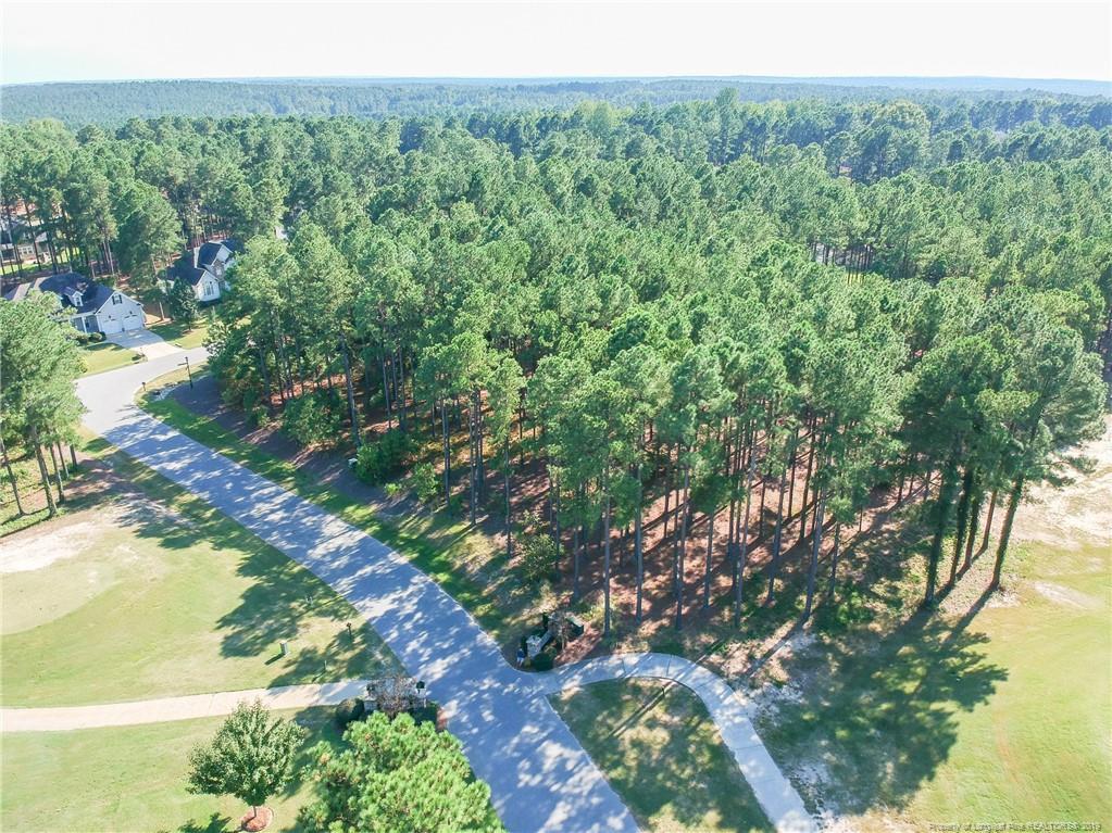 35 Heather Brook Circle - Photo 1