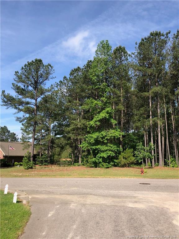 581 Anderson Creek Drive - Photo 1