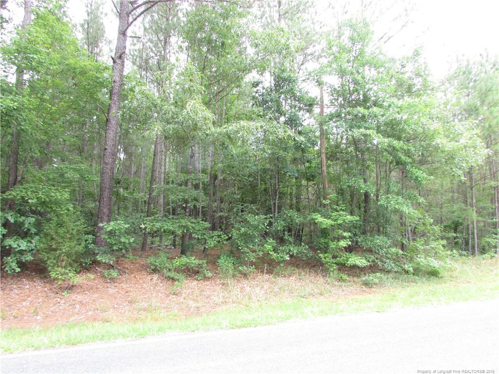 tbd Riddle Road - Photo 1