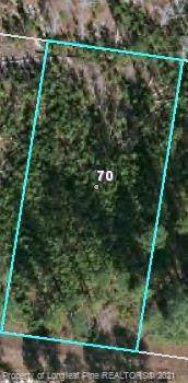 70 Pine Oak - Photo 1