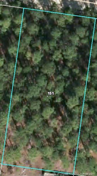 151 Pine Oak - Photo 1