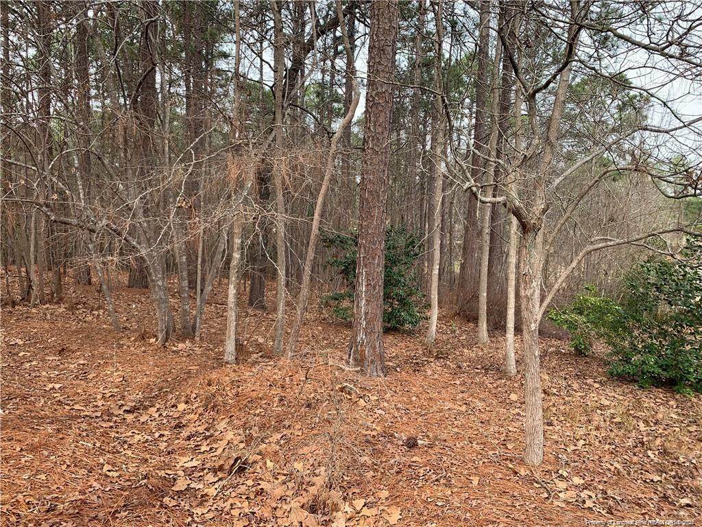 29 Tee Trail - Photo 1