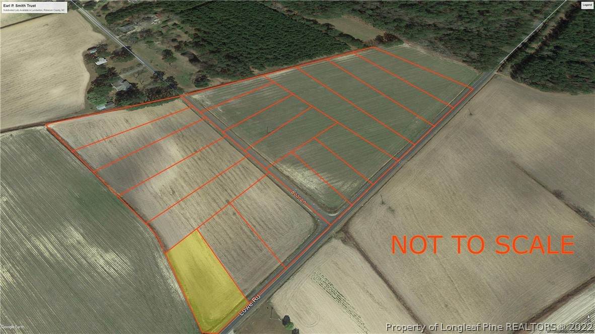 LOT 10 Lowe Road - Photo 1