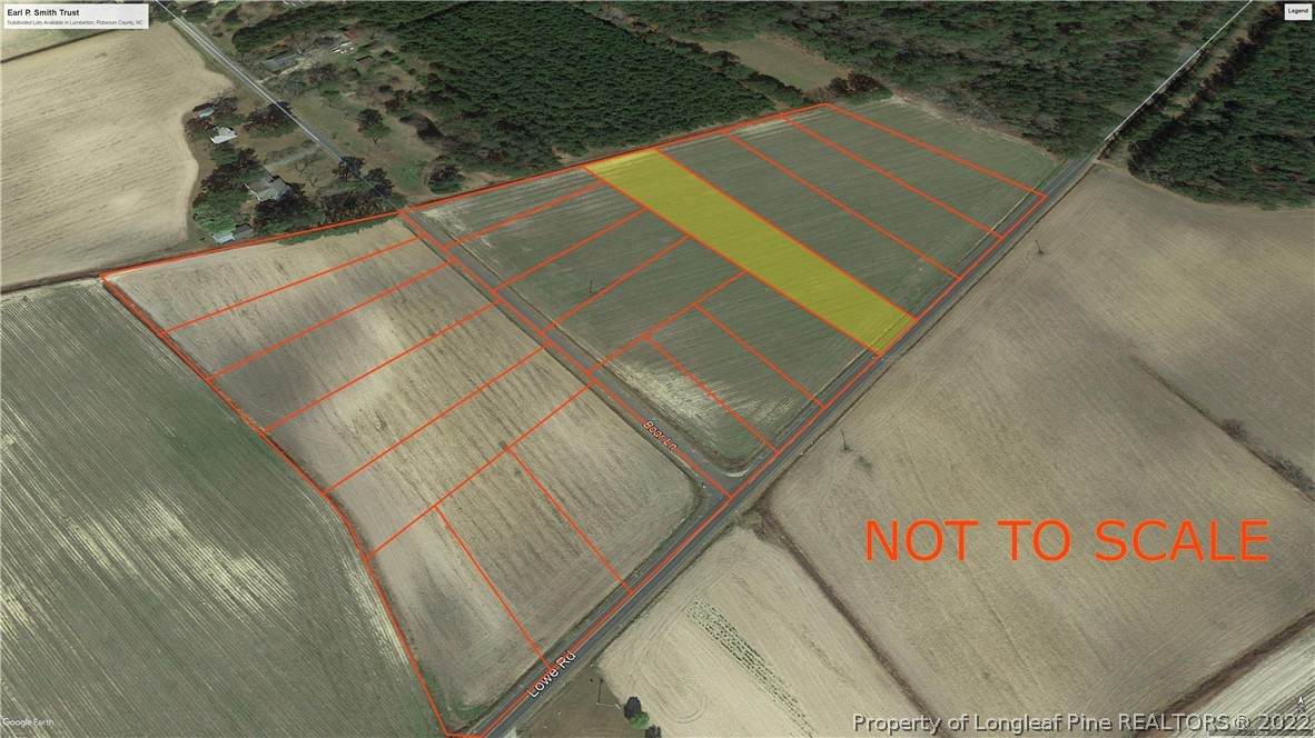LOT 20 Lowe Road - Photo 1