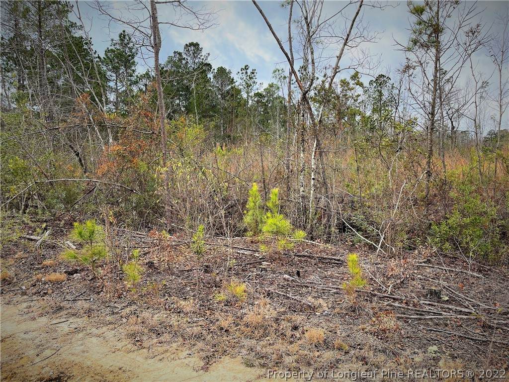 Lot 10 Henry Hughes Dothan Tract - Photo 1