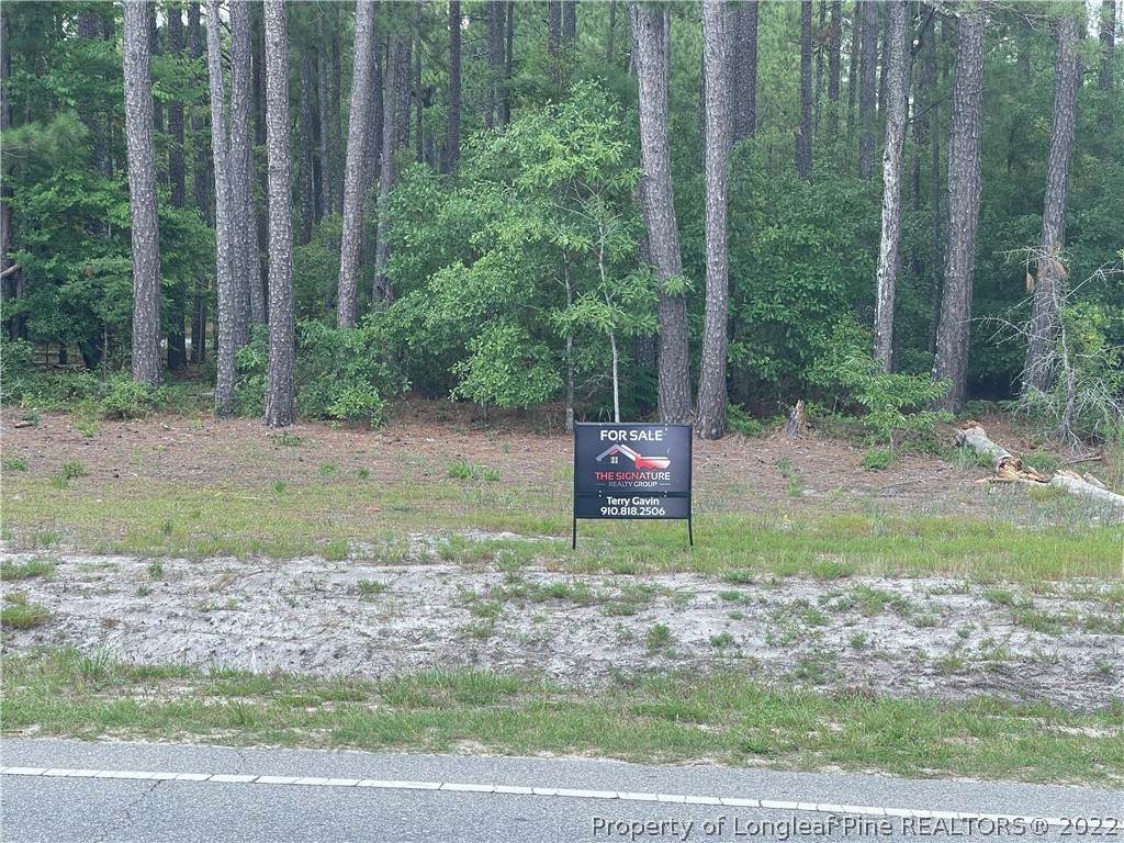Nc 210 Highway - Photo 1