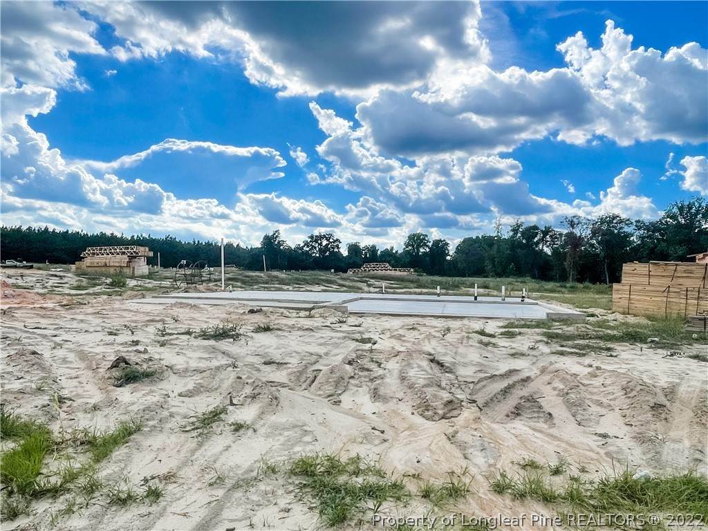 225 Leach Creek (Lot 52) Drive - Photo 1