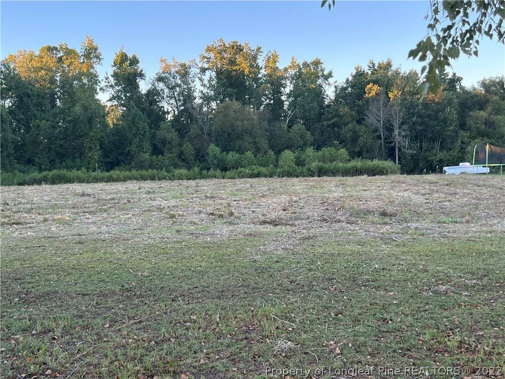 LOT 65 Olan Drive - Photo 1