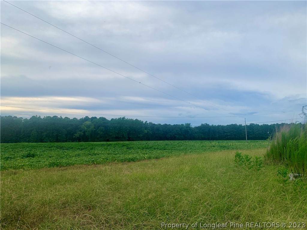 Lot 2 Stedman Cedar Creek Road - Photo 1