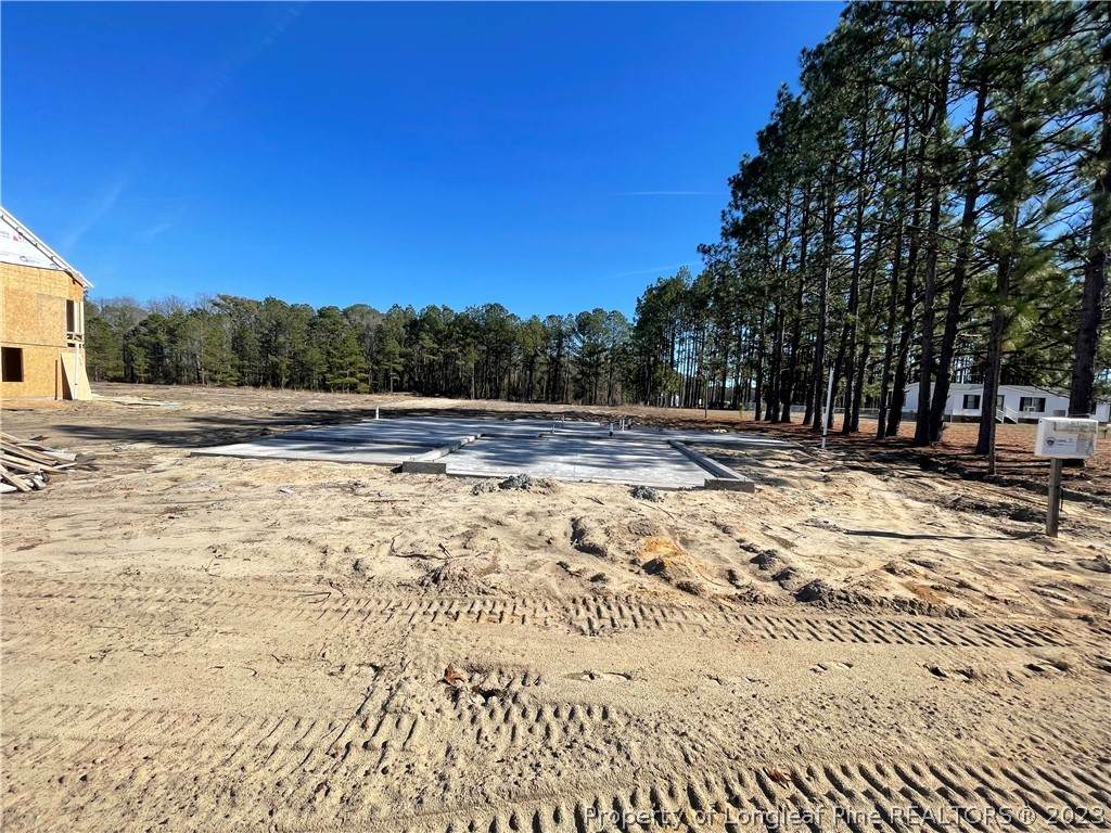 1008 Minnie Hall (Lt 5) Road - Photo 1