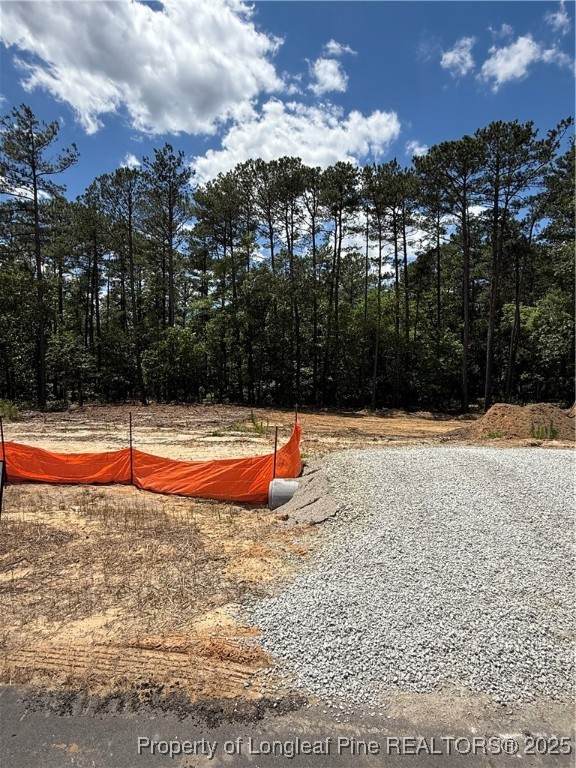 566 Blossom Trail - Photo 1