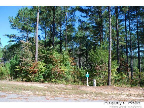 132 Broadlake (634) Lane - Photo 1