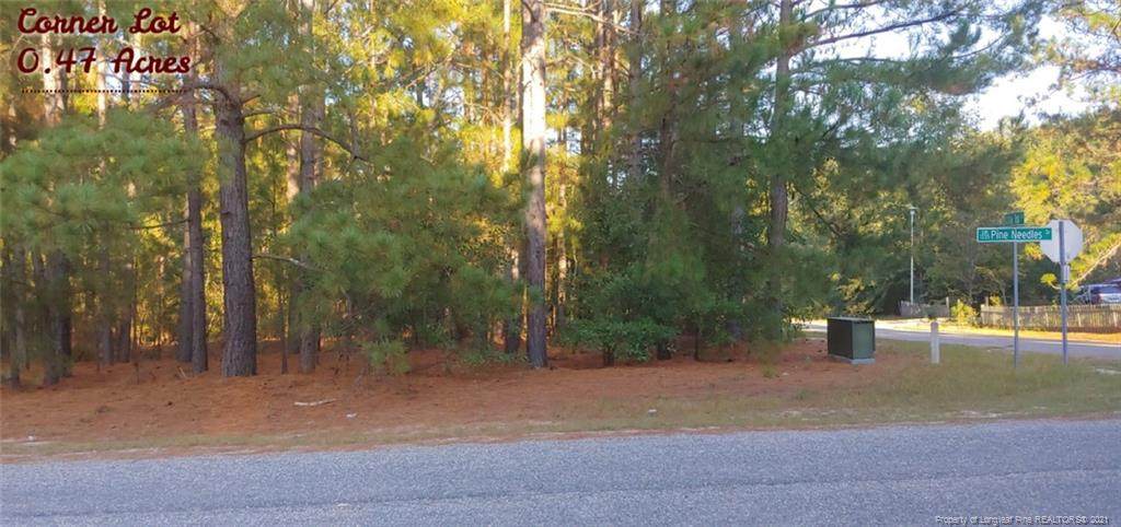 274 Pine Needles Drive - Photo 1