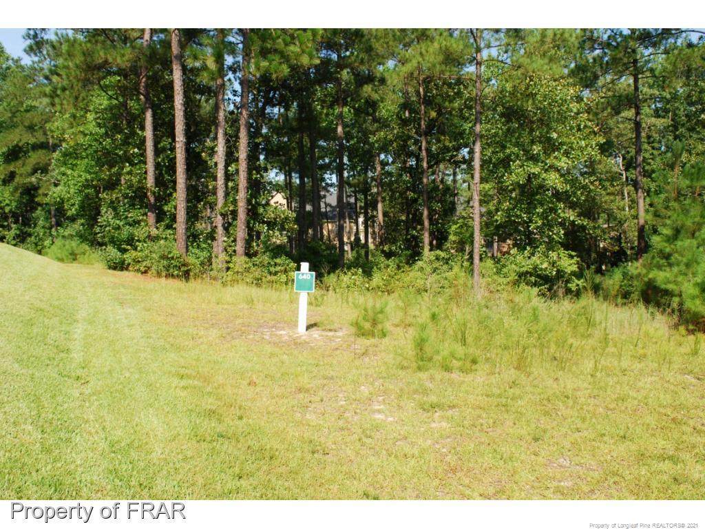 232 Broadlake (640) Lane - Photo 1