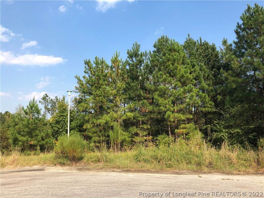 115 Ithica Lane - Photo 1
