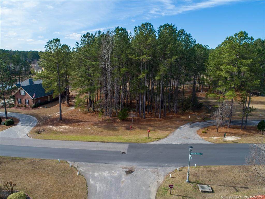 601 Anderson Creek (118) Drive - Photo 1