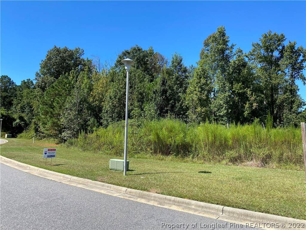 3155 Princeton Street - Photo 1