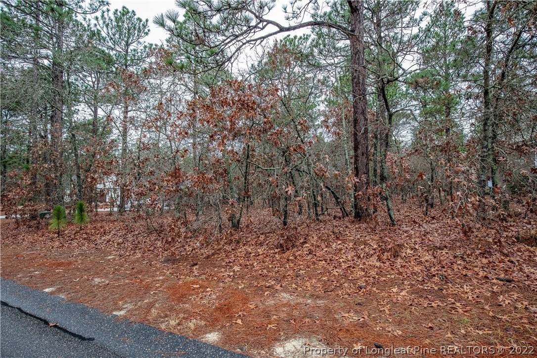 132 Fawnwood Drive - Photo 1