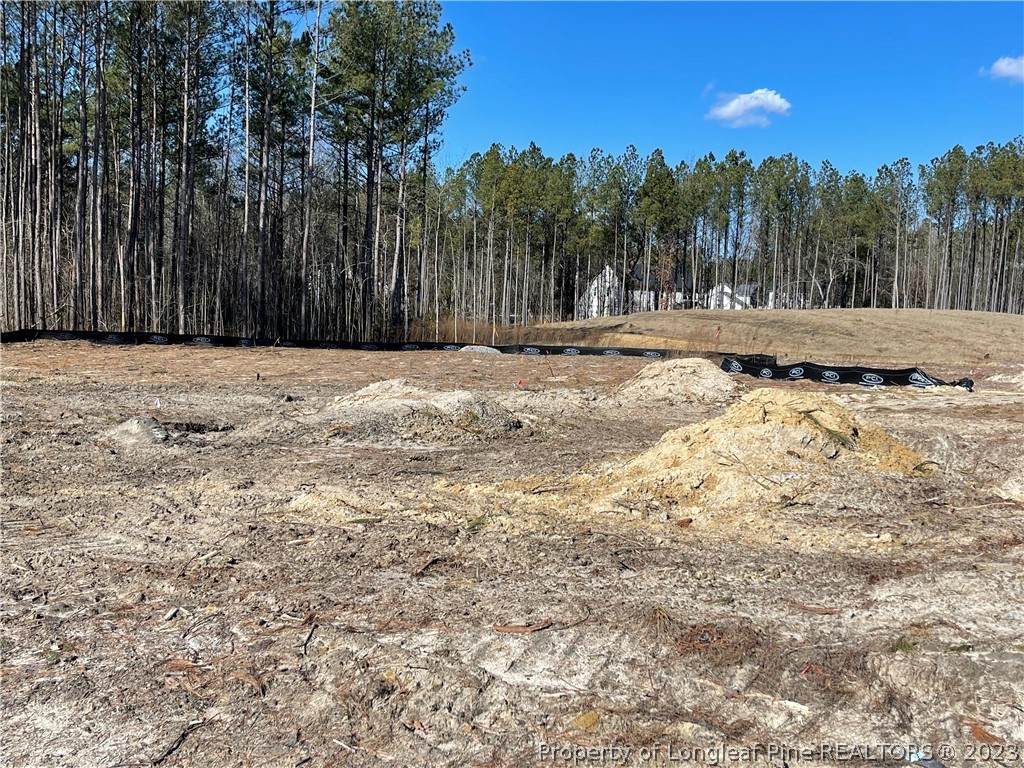 177 Solomon (Lot 45) Drive - Photo 1