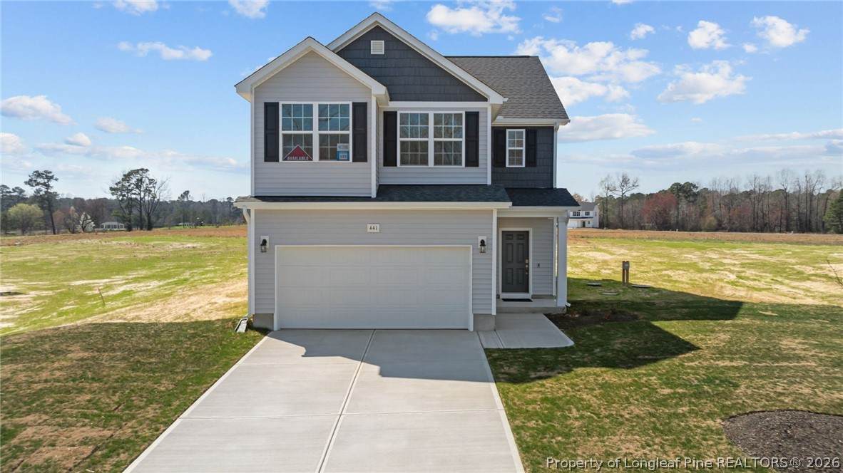 441 Black Duck Lane - Photo 1