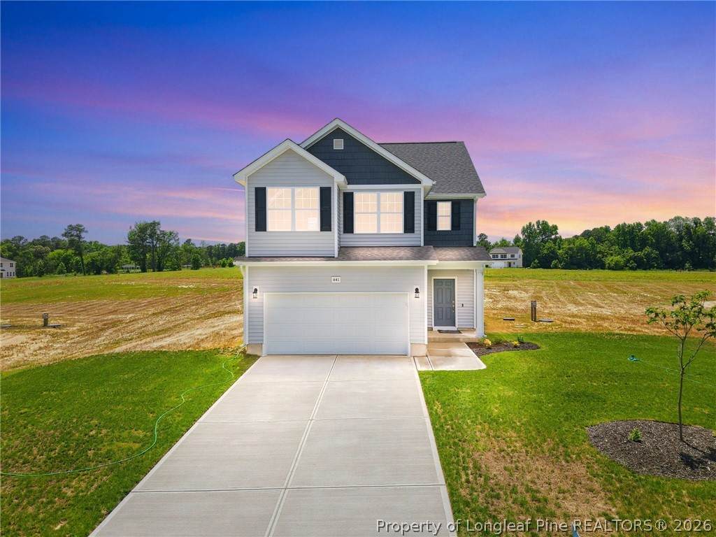 441 Black Duck Lane - Photo 1