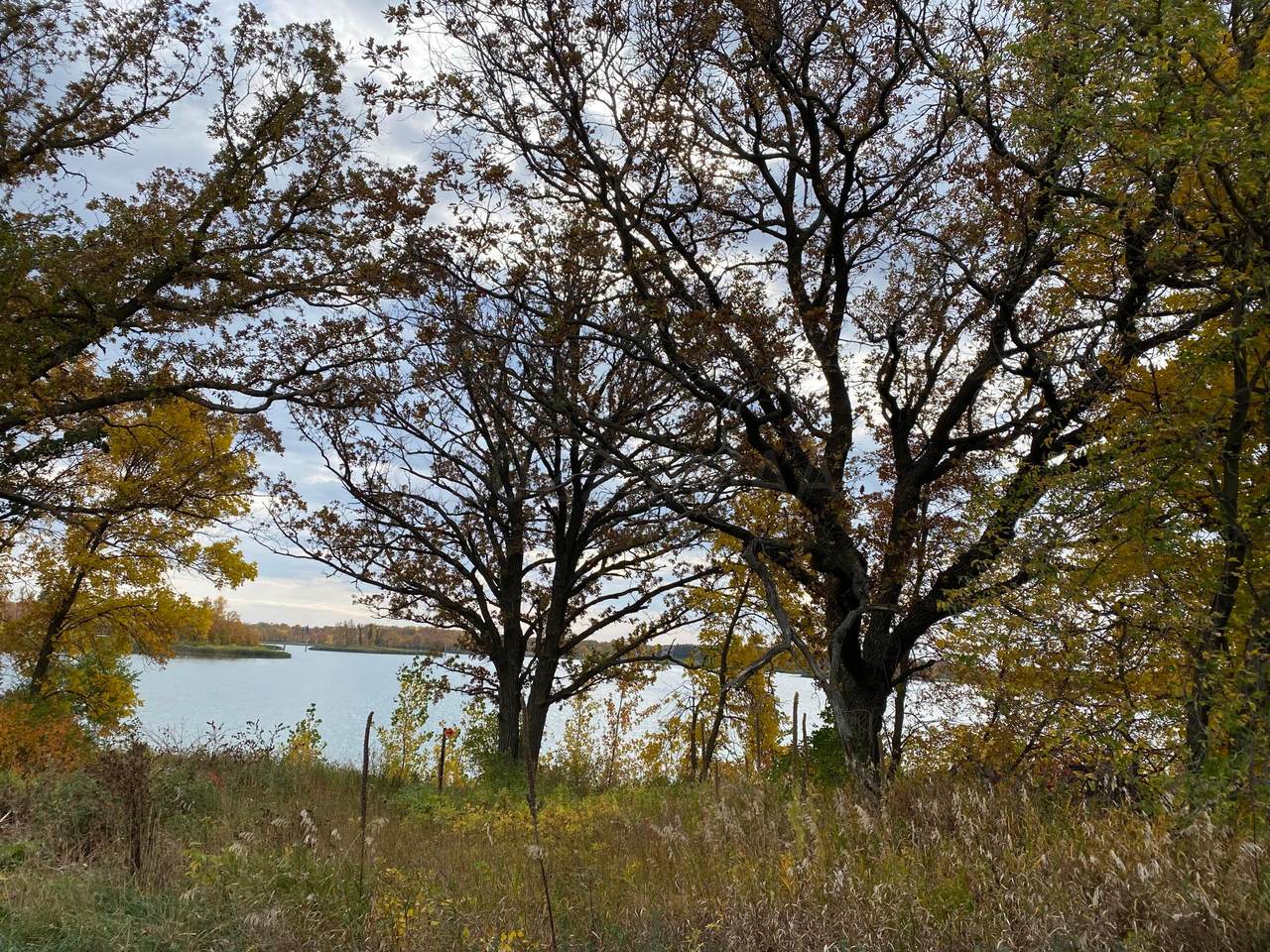 17260 Boyer Lake Road - Photo 1