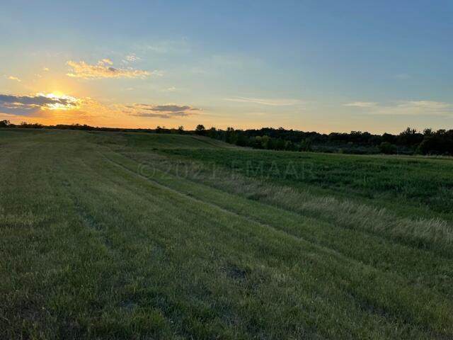 County 60 Road - Photo 1