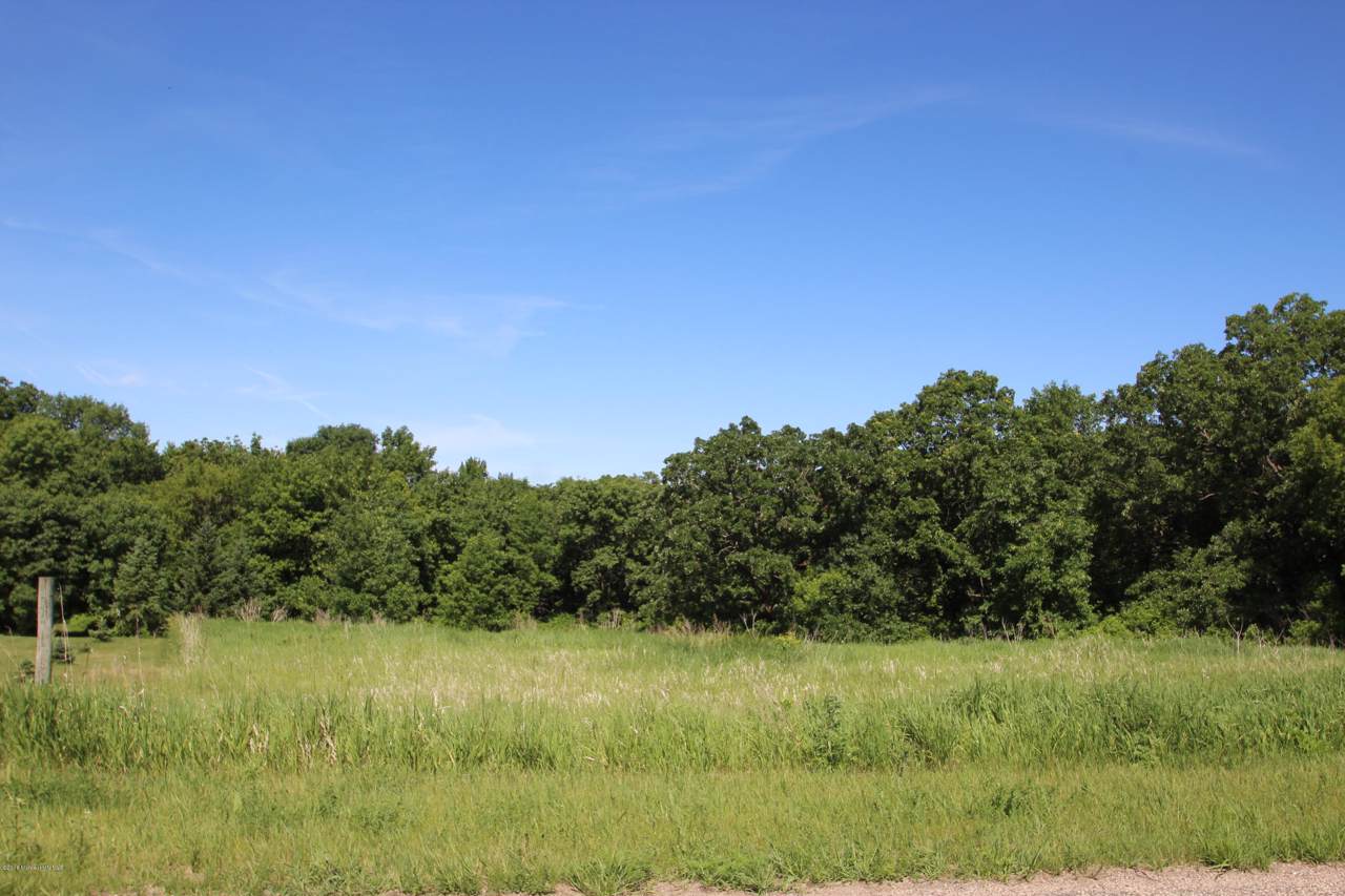 11xxx Cormorant Heights - Photo 1